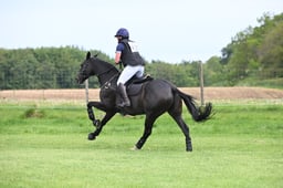 H21_0510 2026