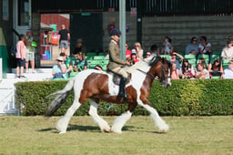 S61_0397 2026