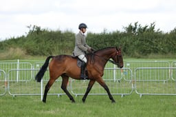 78 RoR Amateur Ridden