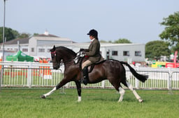 C34_0531 2026