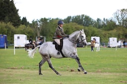 W36_0418 2026