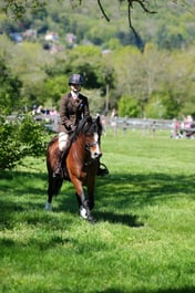 M19_0420 2026