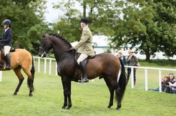 E30_4150 2026
