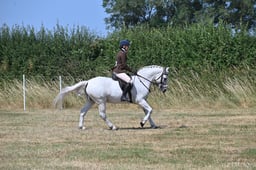 S60_0656 2026