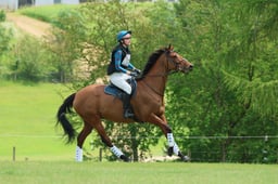 S40_9863 2026
