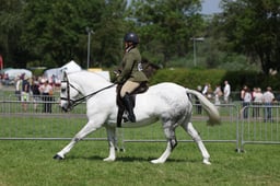 C34_1055 2026