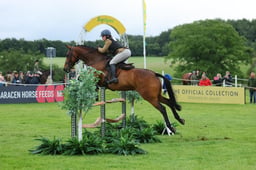 Working Hunter Novice