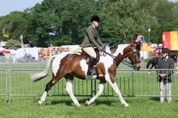C33_0620 2026