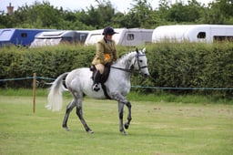 W36_0843 2026