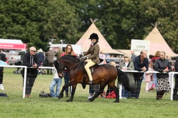 E30_1623 2026