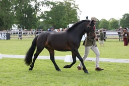 W29_0553 2026