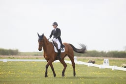 05 OVERIS CAVALIER
