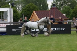 W29_0831 2026