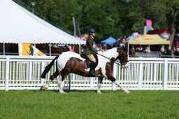 F34_1610 2026