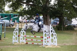 213 Elamo Lucky Clover