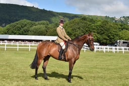 CLH208 Amateur Riders Riding Horses