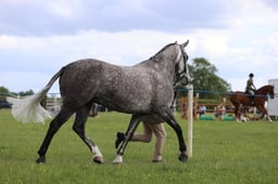 J36_7694 2026