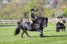 C19_0464 2026