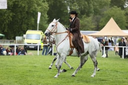 E30_5530 2026