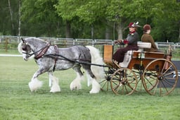 Private Driving Championships