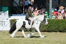 S61_0704 2026
