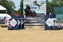 Equine America Vermento