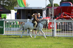 W33_0689 2026
