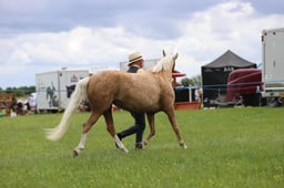 J36_7095 2026