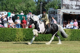 S61_0800 2026