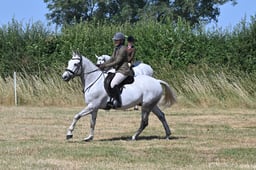 S60_0535 2026