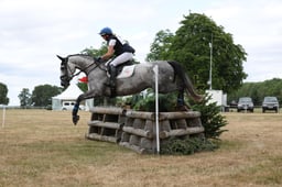 317 ANA