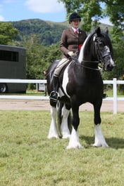 CLH231 Ridden Senior HorsePony