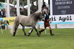 M44_0978 2026