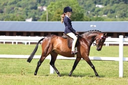 Z42_3258 2026