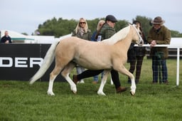 E29_0034 2026