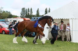 E36_1195 2026