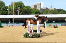 H29_4737 2026