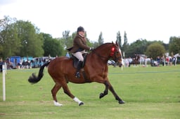 W36_0414 2026