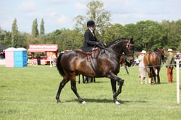 E36_2193 2026