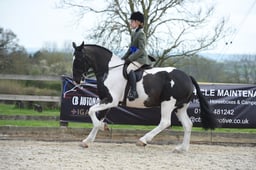 Class 122 LIHS Riding Star Maxi Cob