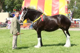 E33_4658 2026