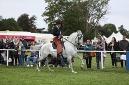 E30_5208 2026