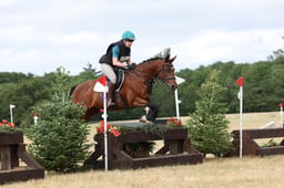 425 FLYING GUL