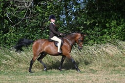 S60_0259 2026