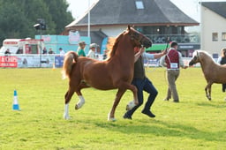 E69_0029 2026