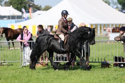 C33_0939 2026