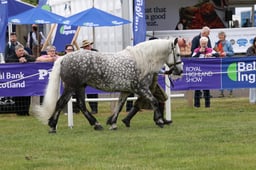 M44_0739 2026