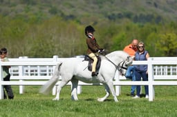 H19_0626 2026