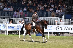 A47_2597 2026