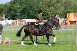C33_0666 2026